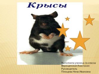 Проектная деятельность обучающихся. Проект по теме Дрессировка декоративных крыс проект