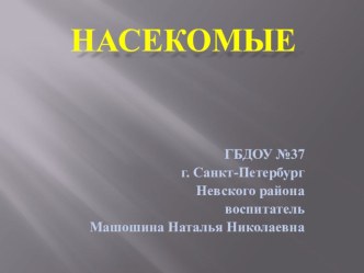 Насекомые презентация к уроку по окружающему миру (старшая, подготовительная группа)