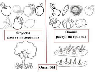 Схемы опытов для экспериментальной деятельности методическая разработка по окружающему миру