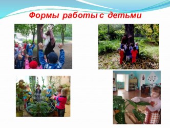 opyt raboty po teme ekologicheskogo vospitaniya chast 2