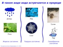 Вторая часть презентации Вода