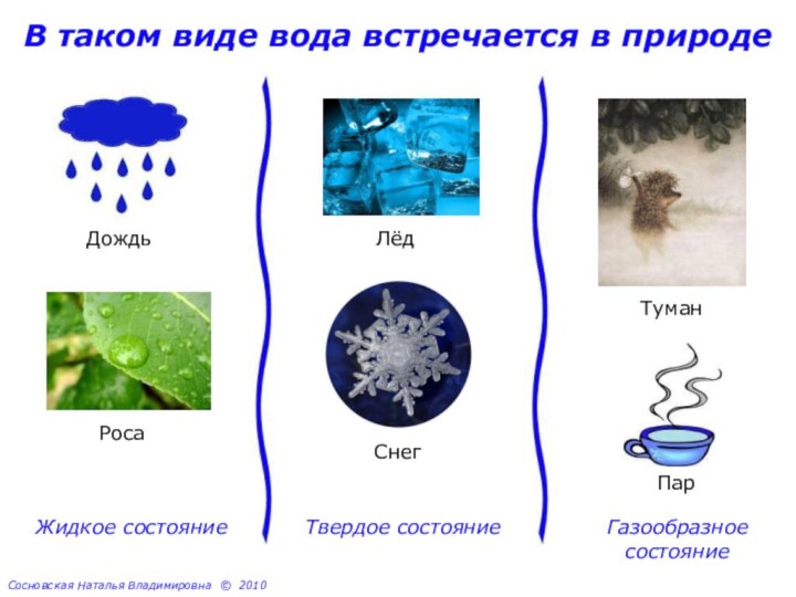 В таком виде вода встречается в природеДождьРосаЛёдСнегТуманПарЖидкое состояниеСосновская Наталья Владимировна © 2010Твердое состояниеГазообразноесостояние