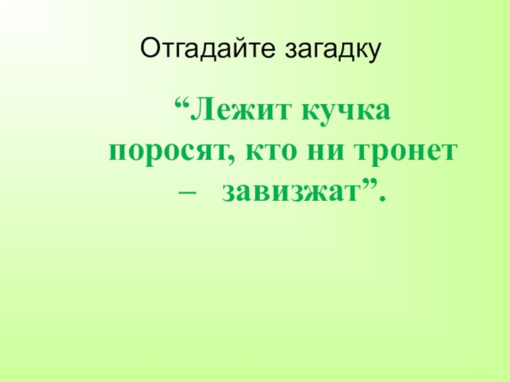 Отгадайте загадку“Лежит кучка поросят, кто ни тронет –   завизжат”.