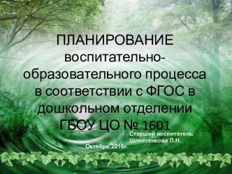 Презентация Планирование воспитательно-образовательного процесса в соответствии с ФГОС методическая разработка