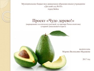 proektnaya deyatelnost 2