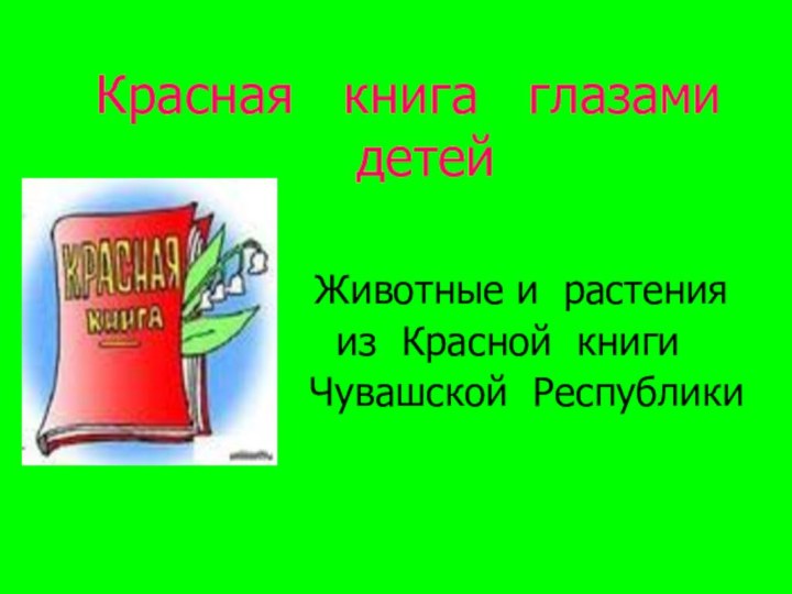 Красная  книга  глазами   детей    Животные