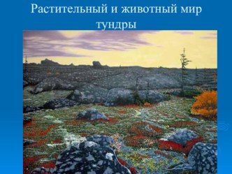 Презентация по окружающему миру 4 класс. Тема:Тундра творческая работа учащихся по окружающему миру (4 класс) по теме