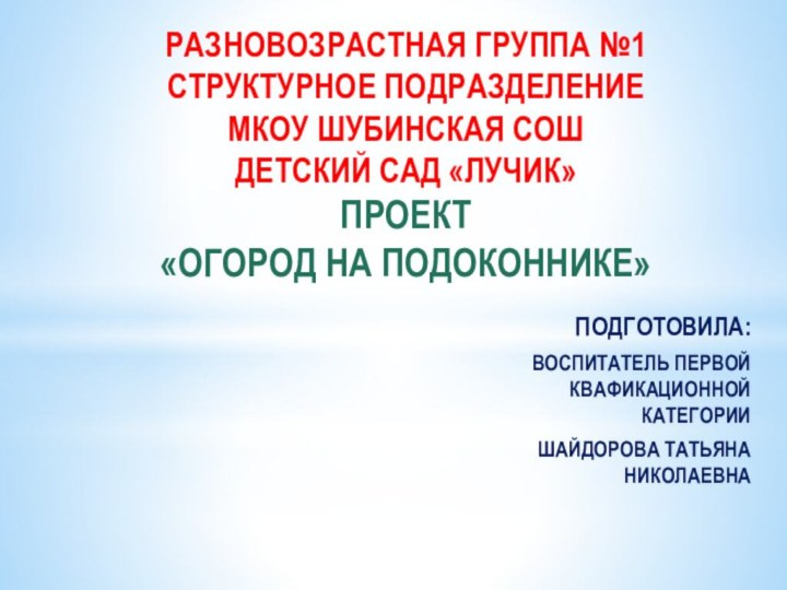 разновозрастная группа №1 структурное подразделение  МКОУ Шубинская СОШ  детский сад