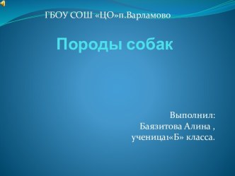 презентация по окружающему миру Породы собак презентация к уроку по окружающему миру (1 класс)