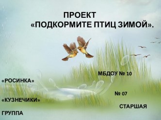 Проект Подкормите птиц зимой проект (старшая группа) по теме