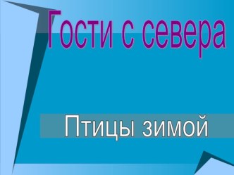 Презентация Зимующие птицы 3-4 года презентация к уроку по окружающему миру (младшая группа)