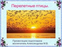 Презентация Перелетные птицы. презентация по окружающему миру