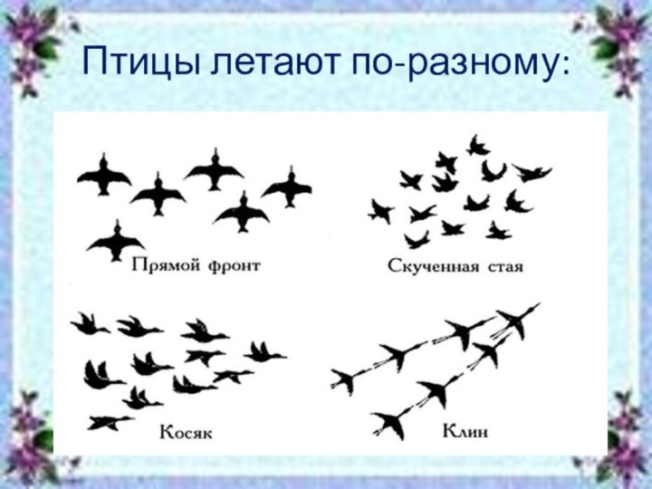 Птицы летают по-разному:
