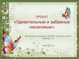 Проект Удивительные и забавные насекомые проект (подготовительная группа)