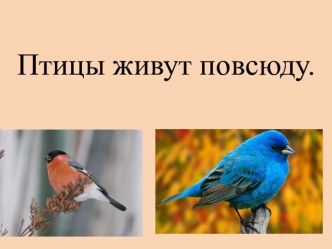 Конспект урока + презентация по литературному чтению по теме: Капалуха план-конспект урока по чтению (3 класс)