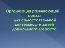 Презентация - Организация развивающей среды для самостоятельной деятельности детей дошкольного возраста презентация