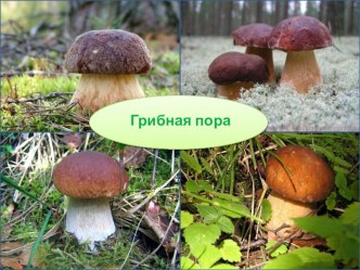 для 1 класса окр мир