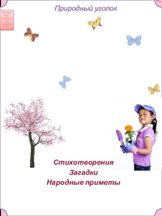 Презентация к занятию Наш уголок природы. презентация к уроку по окружающему миру (старшая группа)