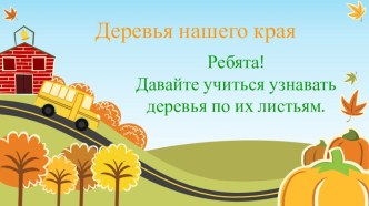 Деревья нашего края 3 часть презентация к уроку по окружающему миру (1 класс) по теме