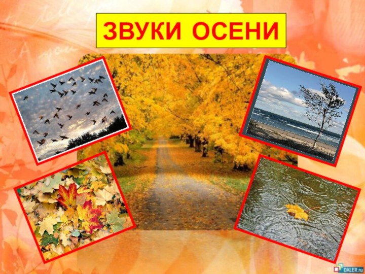 ЗВУКИ ОСЕНИ