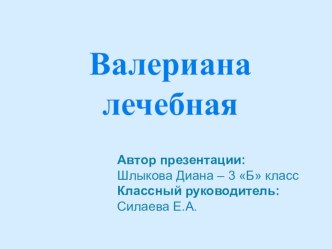 Валериана лечебная творческая работа учащихся по окружающему миру (4 класс)