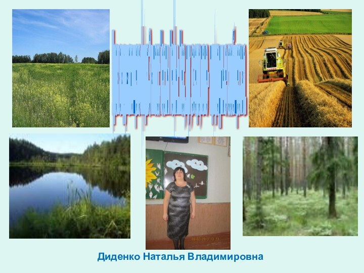 Диденко Наталья ВладимировнаУрок окружающего мира 3 класс Тесты Темы: Лес, луг ,озеро,поле- природные сообщества.