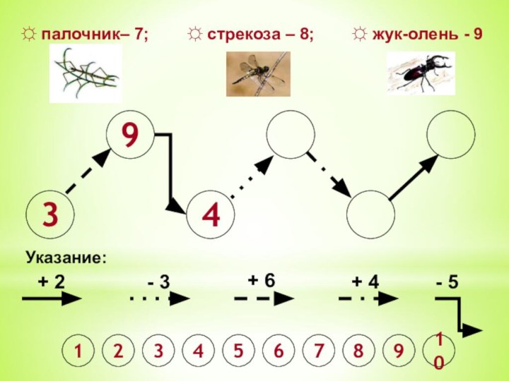 394Указание:+ 2- 3+ 6+ 4- 512345678910☼ палочник– 7;    ☼