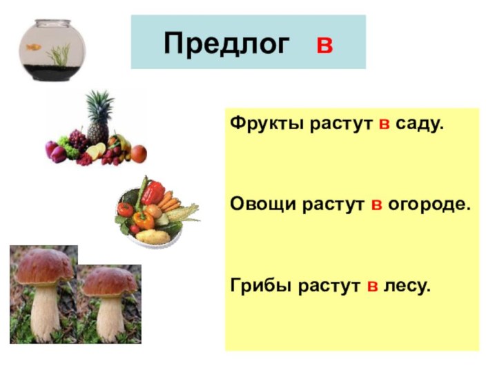 Предлог  вФрукты растут в саду.Овощи растут в огороде.Грибы растут в лесу.