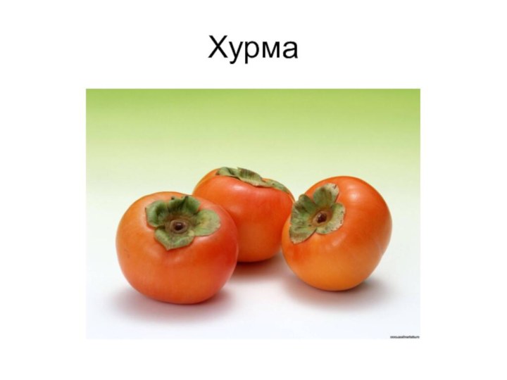 Хурма