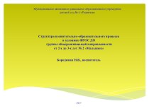 Структура образовательного процесса в условиях ФГОС ДО методическая разработка