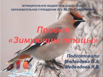 Проект Зимующие птицы презентация к уроку по окружающему миру (подготовительная группа)
