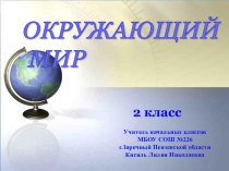 Путешествие в Санкт-Петербург. Начальная школа XXI века 2 класс. план-конспект урока по окружающему миру (2 класс) по теме