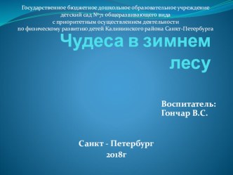 Конспект непрерывной образовательной деятельности с детьми раннего возраста (2-3г.) Чудеса в зимнем лесу С использованием инновационного метода наглядного моделирования план-конспект занятия по развитию речи (младшая группа)