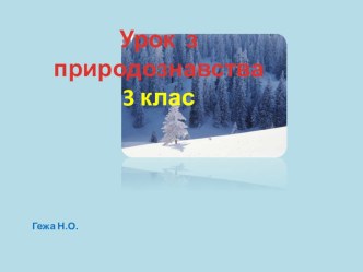 Будова рослин 3 клас презентація презентация к уроку по окружающему миру (3 класс)