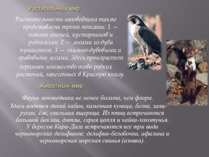 Растительность заповедника также представлена тремя поясами: 1 — поясом степей, кустарников и