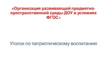 Организация предметно-развивающей среды презентация к уроку (старшая группа)