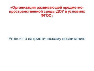 Организация предметно-развивающей среды презентация к уроку (старшая группа)