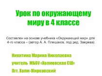 Урок по окружающему миру в 4-м классе с использованием ИКТ : Лес и человек презентация к уроку по окружающему миру (4 класс) Урок по окружающему миру в 4-м классе с использованием ИКТ : Лес и человек