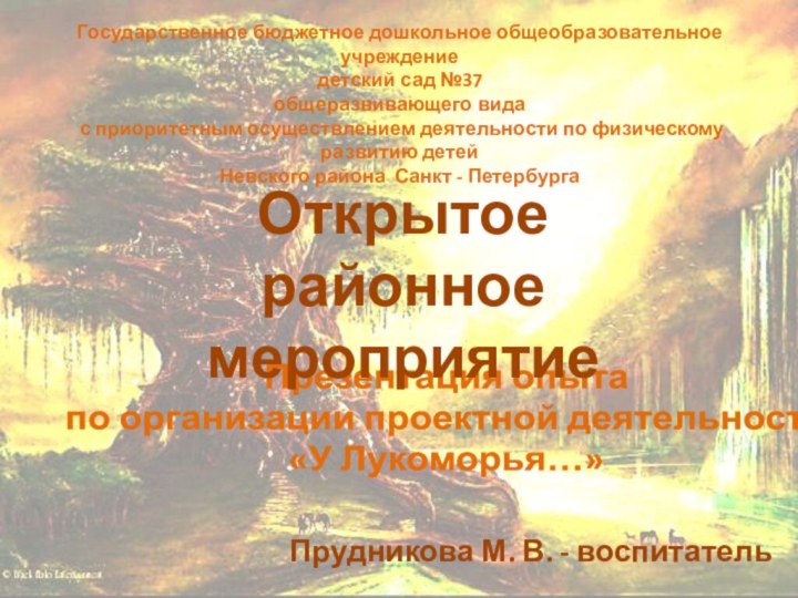 Государственное бюджетное дошкольное общеобразовательное учреждение детский сад №37 общеразвивающего вида с приоритетным