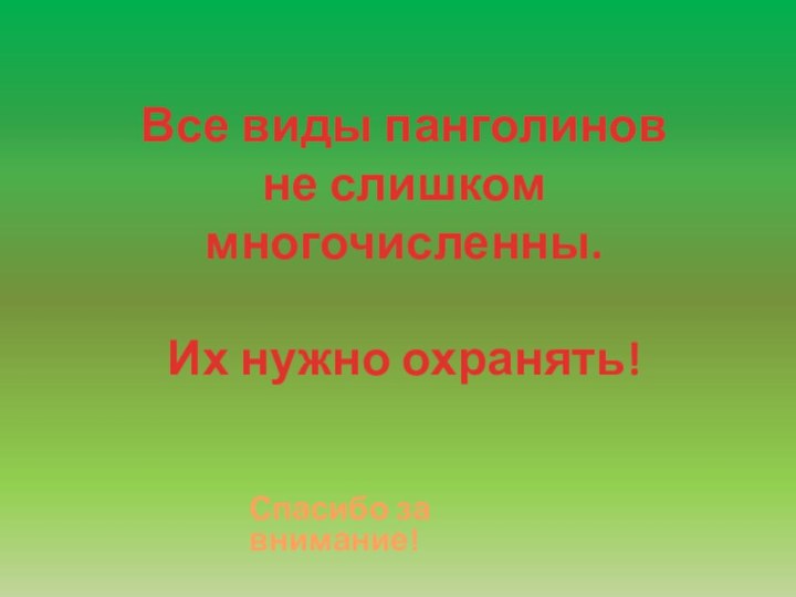 Все виды панголинов не слишком многочисленны.Их нужно охранять!Спасибо за внимание!