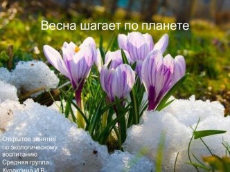 Развитие речи Весна план-конспект занятия по окружающему миру (старшая группа)