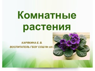 ПРЕЗЕНТАЦИЯ КОМНАТНЫЕ РАСТЕНИЯ презентация к уроку по окружающему миру (старшая группа)