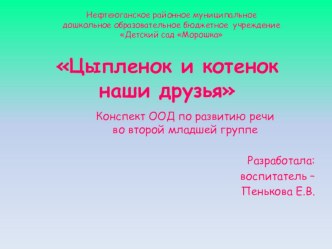 Конспект непосредственной - образовательной деятельности Цыпленок и котенок наши друзья II младшая группа план-конспект занятия по развитию речи (младшая группа) по теме