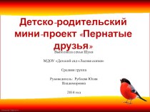 Детско-родительский мини-проект Пернатые друзья проект (средняя группа)