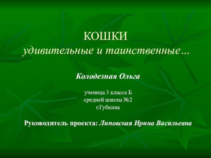 КОШКИ  удивительные и таинственные…Колодезная Ольгаученица 3 класса Бсредней школы №2г.ГубкинаРуководитель проекта: Липовская Ирина Васильевна