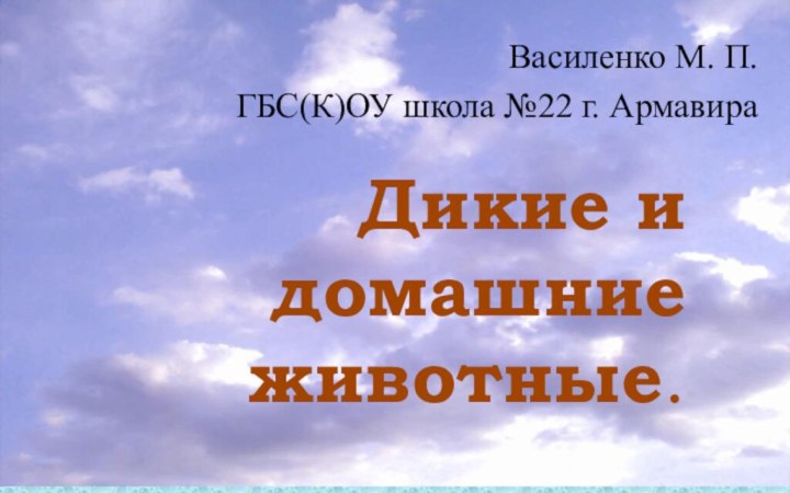 Дикие и домашние животные. Василенко М. П. ГБС(К)ОУ школа №22 г. Армавира