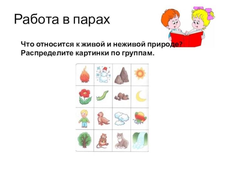 Работа в парахЧто относится к живой и неживой природе? Распределите картинки по группам.