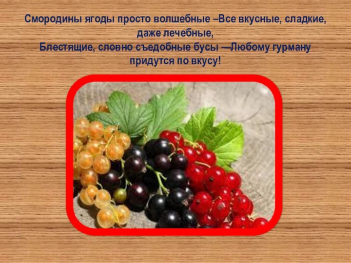 Смородины ягоды просто волшебные –Все вкусные, сладкие, даже лечебные, Блестящие, словно