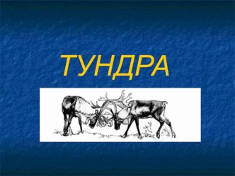 презентация по теме Тундра презентация к уроку по окружающему миру (4 класс)