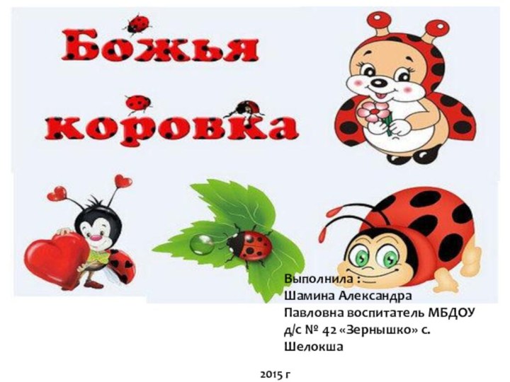 ВыВыВыполнила :Шамина Александра Павловна воспитатель МБДОУ д/c № 42 «Зернышко» с.Шелокша 2015 г